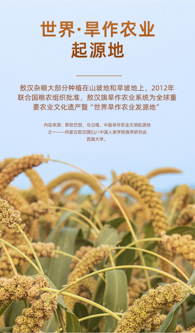 内蒙赤峰敖汉金苗k1小米大量批发保证质量小米粥月子米