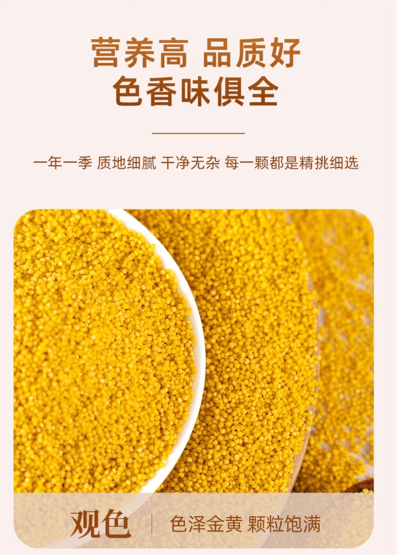 内蒙赤峰敖汉金苗k1小米大量批发保证质量小米粥月子米