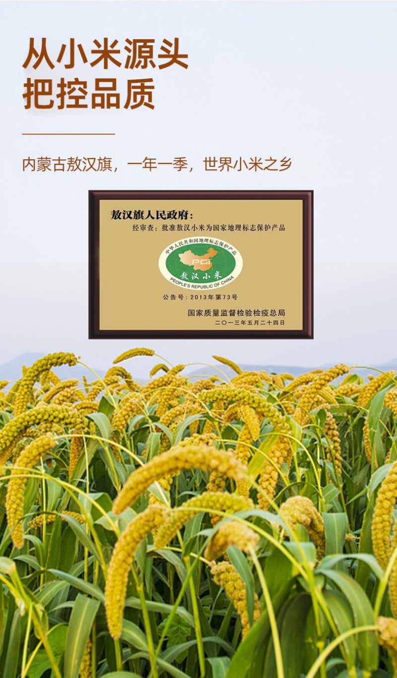 内蒙赤峰敖汉金苗k1小米大量批发保证质量小米粥月子米