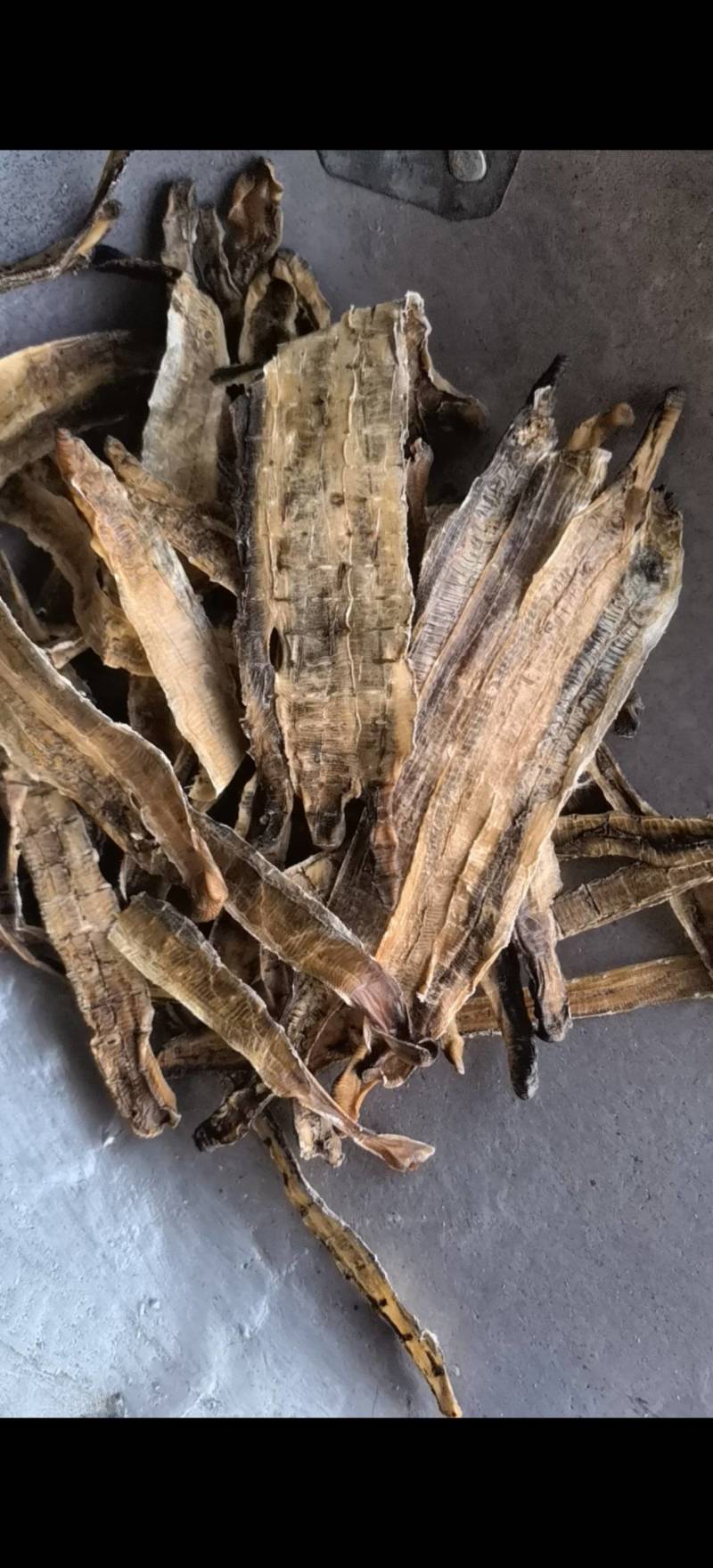 地龙【关书药业】全开货水洗新货批发中药材