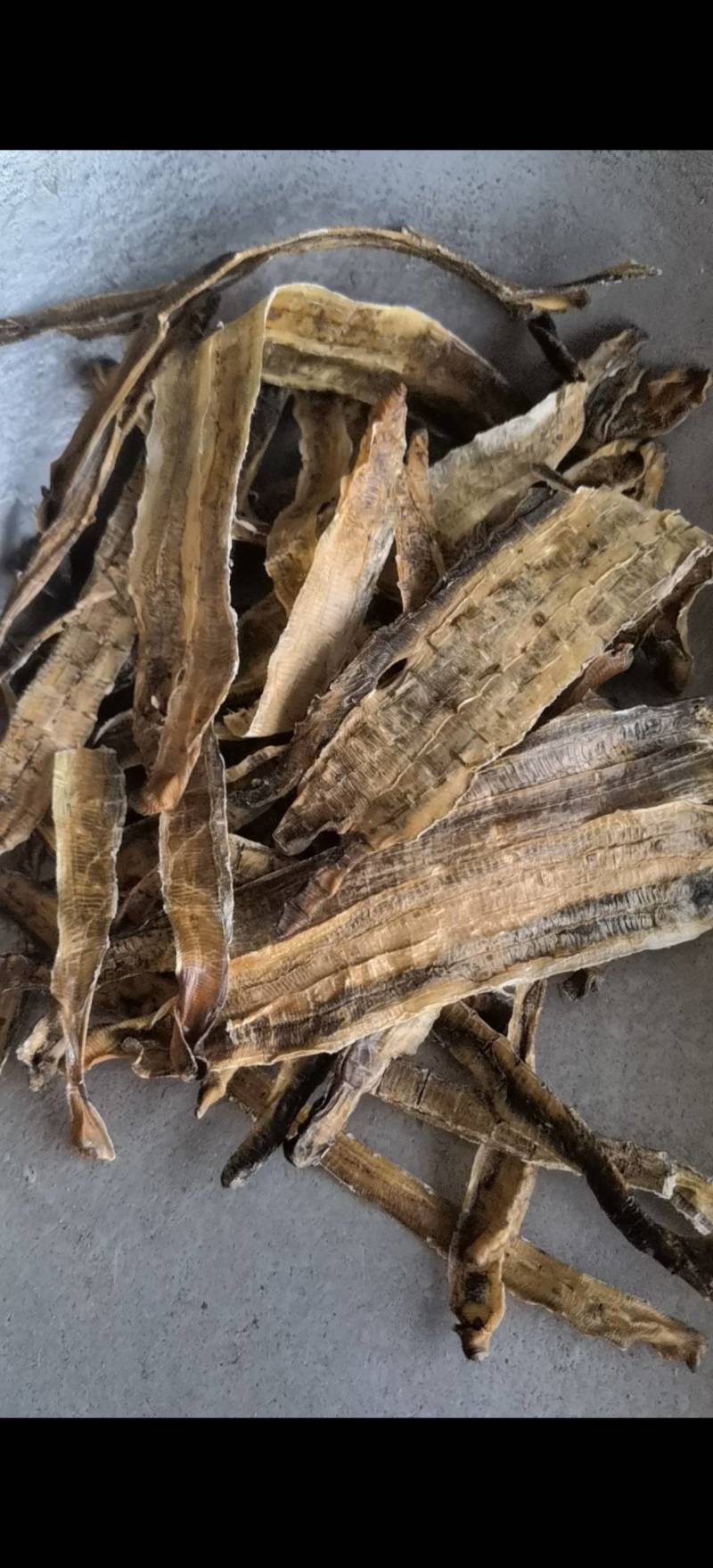 地龙【关书药业】全开货水洗新货批发中药材