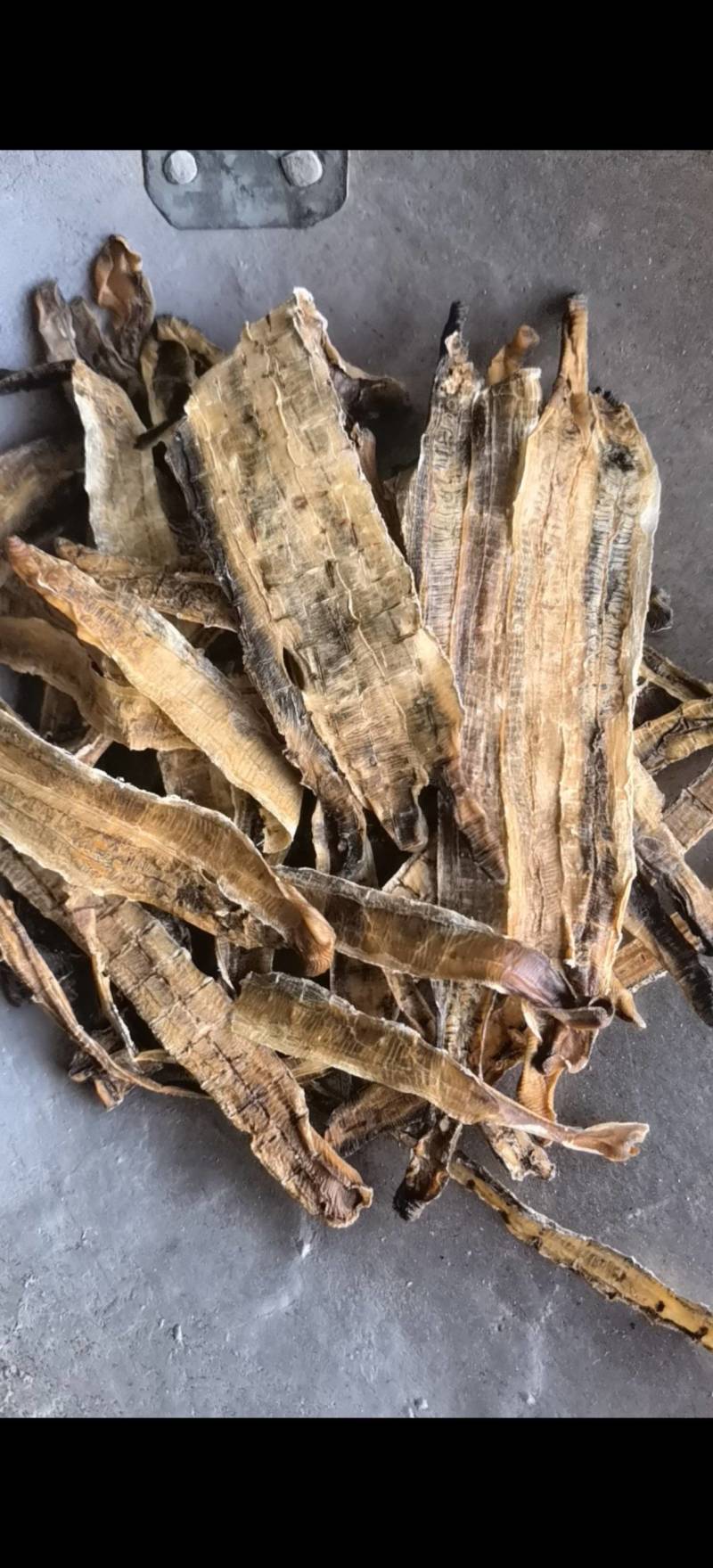 地龙【关书药业】全开货水洗新货批发中药材