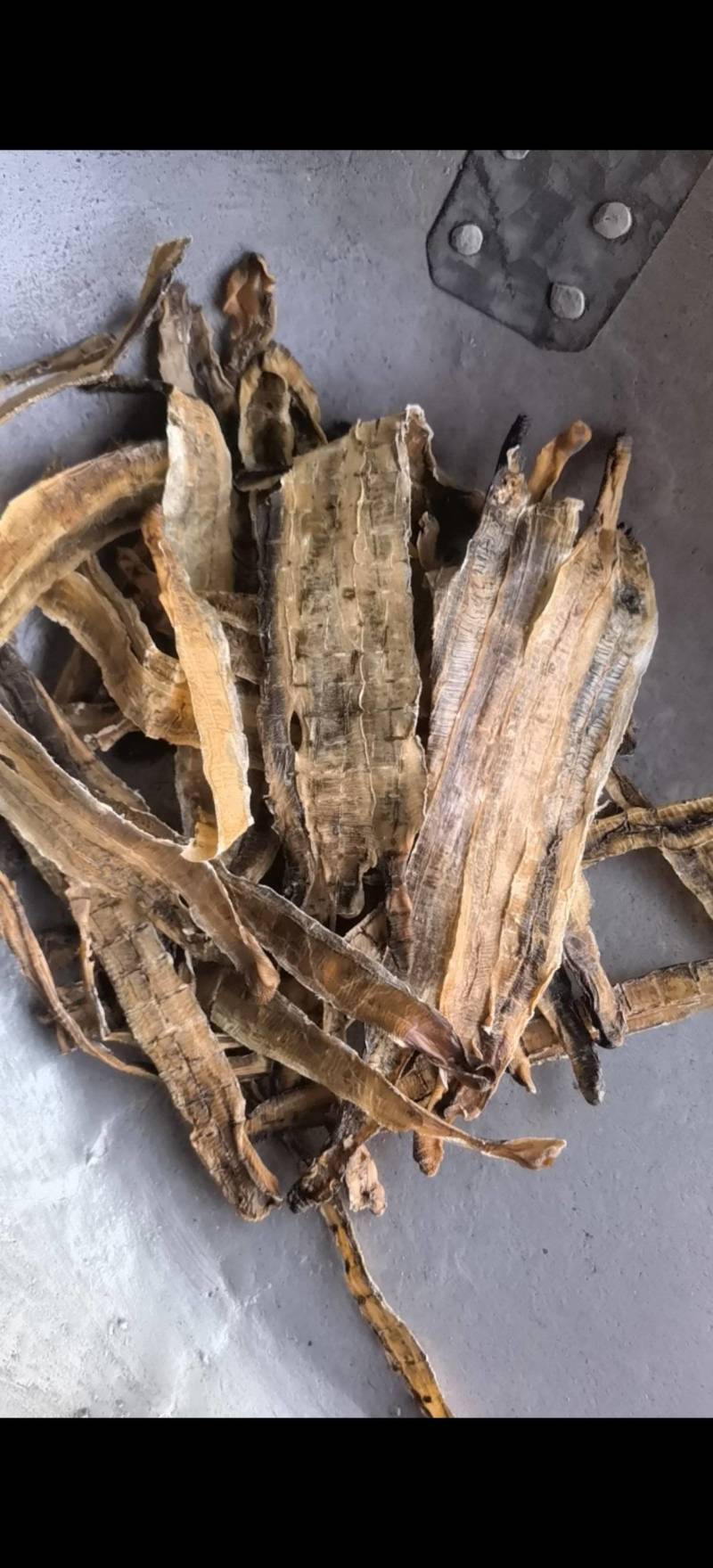 地龙【关书药业】全开货水洗新货批发中药材
