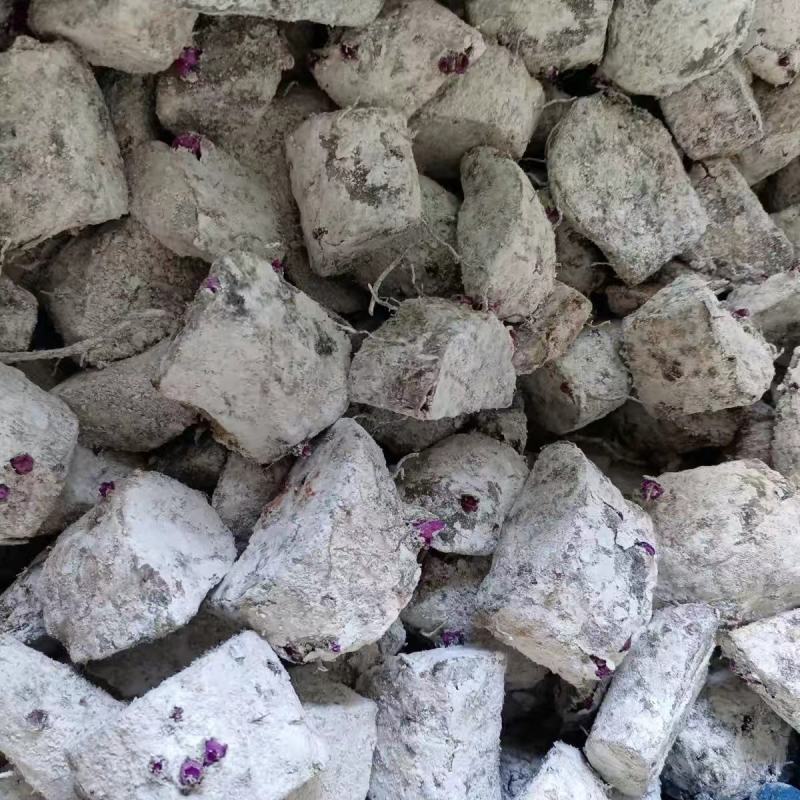 紫山药种块脚板山药种块，