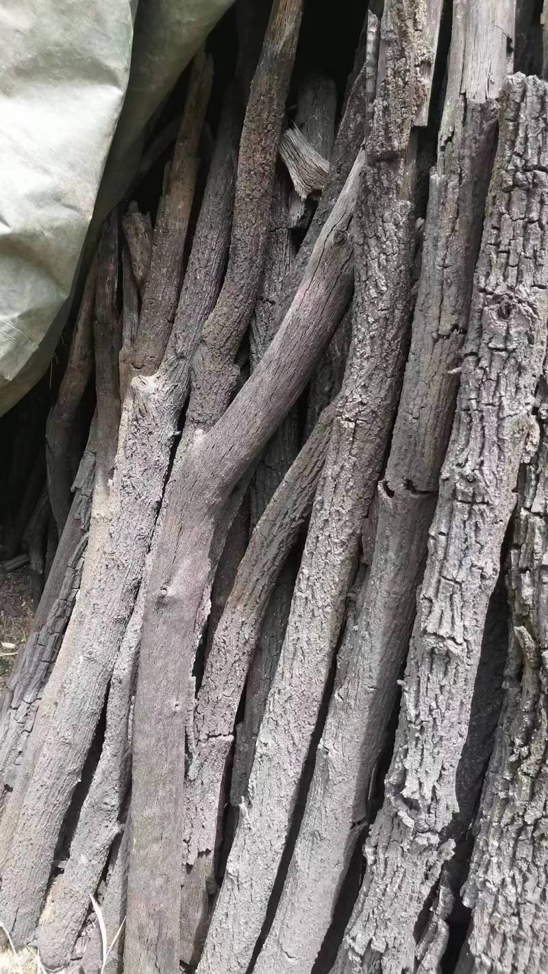 贵州精品青岗炭，烧烤炭。品质好，耐烧，易燃，厂区直发，量