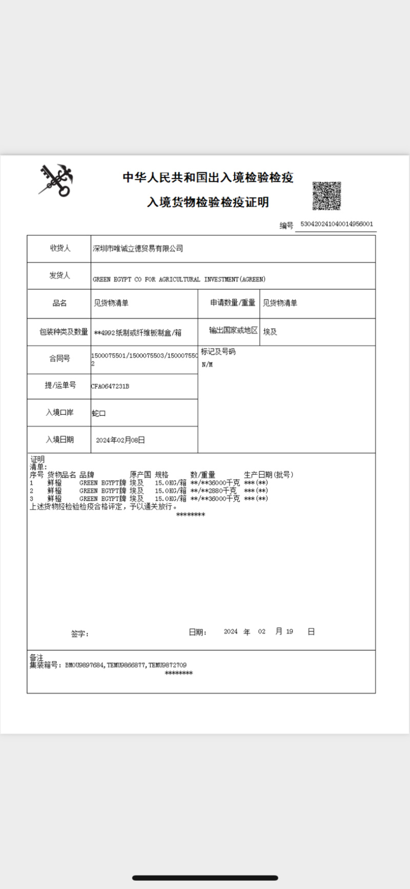 进口橙埃及橙进口酸橙各规格一级二级精品