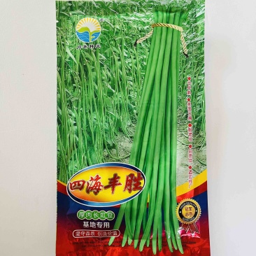 四海丰胜豇豆种子翠绿色品种肉厚种子