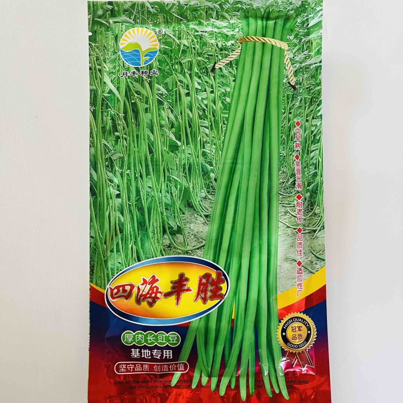 四海丰胜豇豆种子翠绿色品种肉厚种子