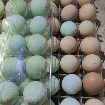 深山粮食散养土鸡蛋，五黑绿壳蛋