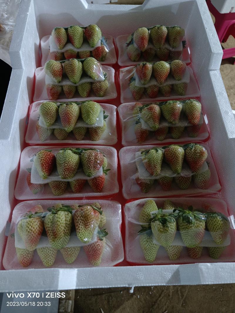 云南夏季草莓产地直销