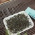凤凰单丛蜜兰香潮州单丛茶叶花香500克袋装高山茶
