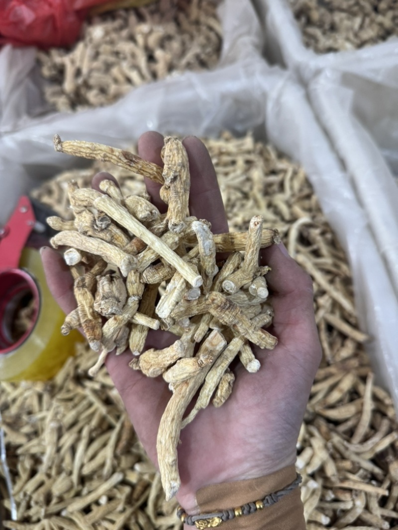 人参个白参人参干货整枝带须人参多种规格长白山人参