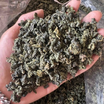 桑叶茶桑叶实拍桑叶干桑叶桑叶泡茶
