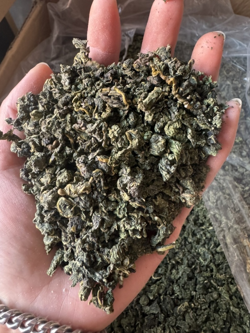 桑叶茶桑叶实拍桑叶干桑叶桑叶泡茶