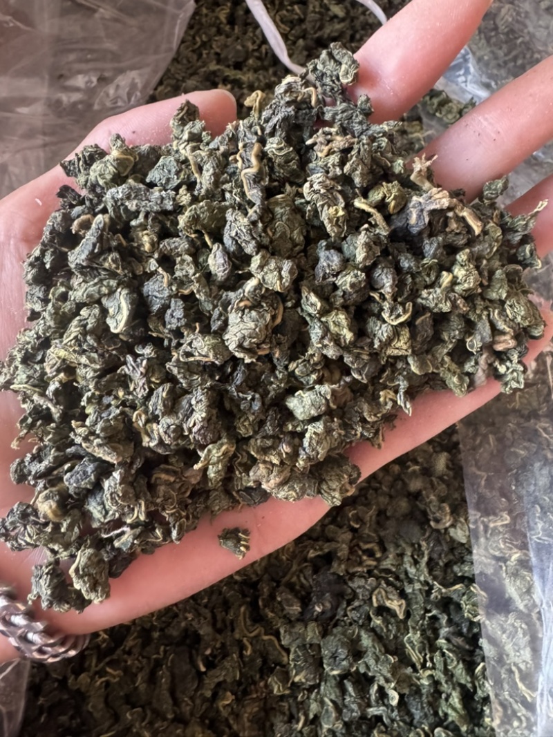 桑叶茶桑叶实拍桑叶干桑叶桑叶泡茶