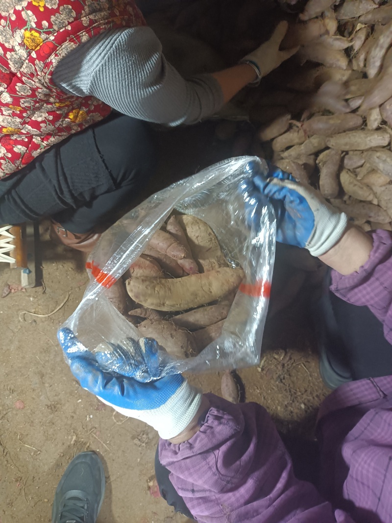 山东优质沂蒙山紫罗兰地瓜紫薯供应中产地直供量大从优