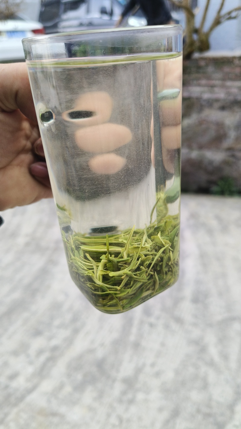 都匀毛尖，贵州原生态绿茶(原产地，一手货源，栗香味)