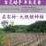 紫山药种块脚板种块