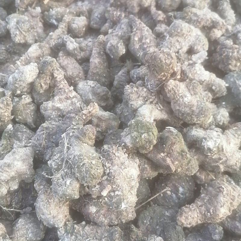 洋姜干货河南产区直发保质保量供货对接全国