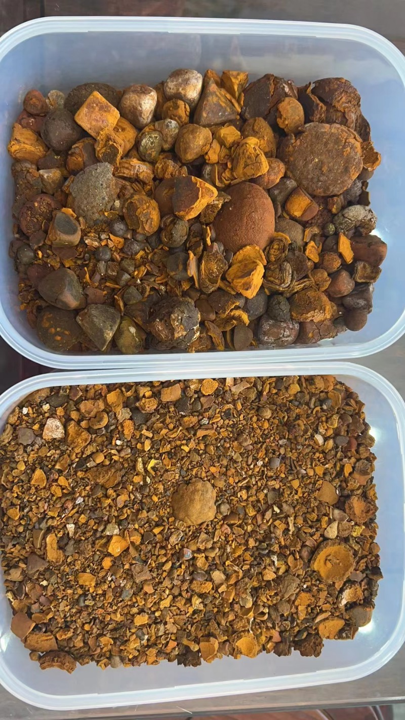 牛黄