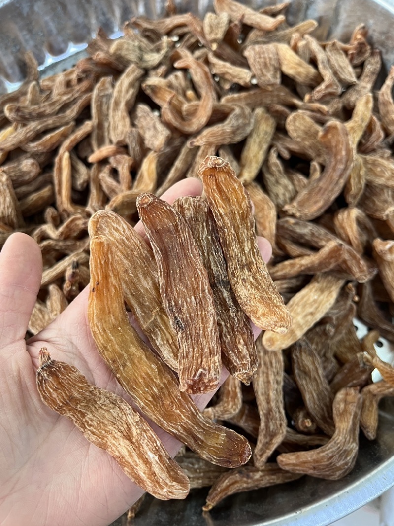 野生红天麻非常香一斤也是批发价