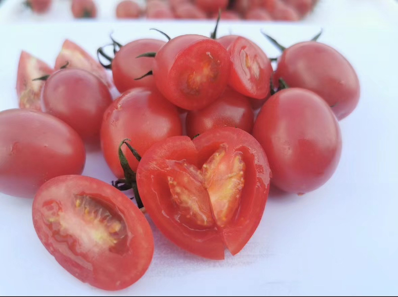 千禧圣女果高清特写图：展示单果长椭圆形态、鲜红匀亮表皮、紧贴果梗的绿色小萼片及清晰浅褐色果蒂环