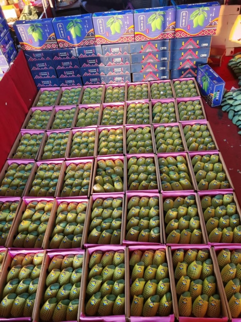 台农桂七金煌产地自销代办代发整车供应