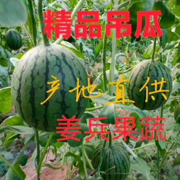 冰糖籽西瓜小糖丸西瓜2K小西瓜产地包装小工一条龙服务