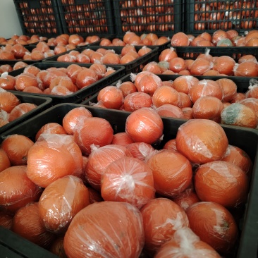 麻阳纽荷尔脐橙