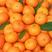 脐橙耙耙柑沃柑，无公害鲜果，现摘现发，脐橙耙耙柑