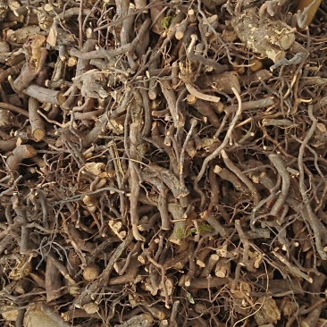 茅莓根，三月泡根，小叶