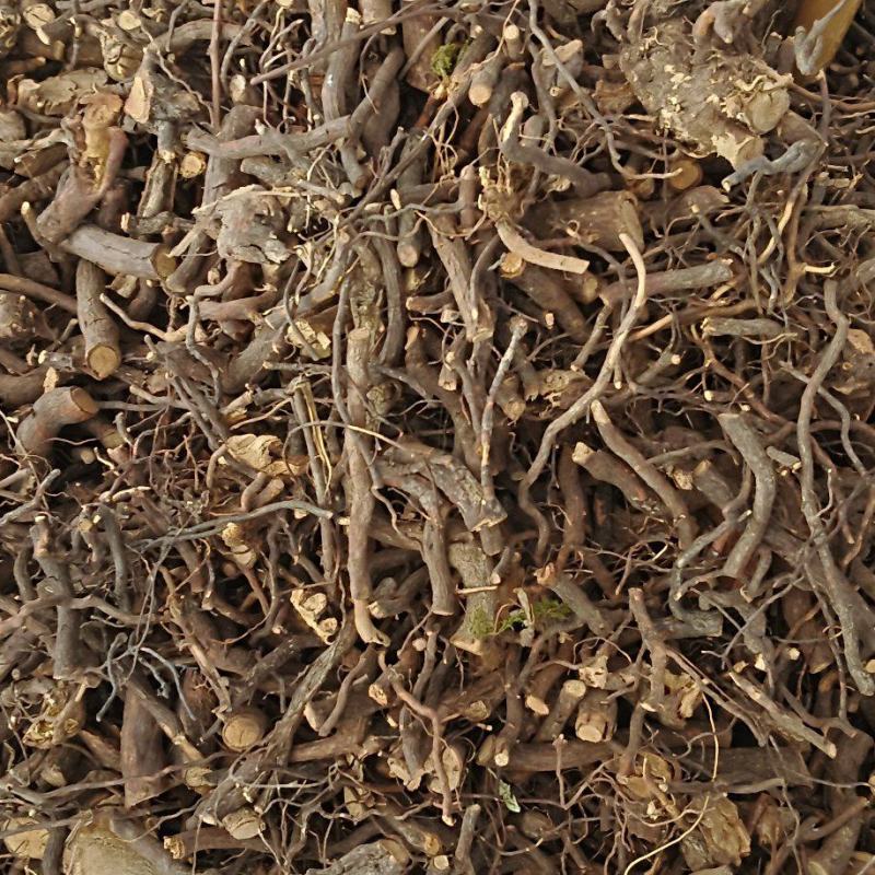 茅莓根，三月泡根，小叶