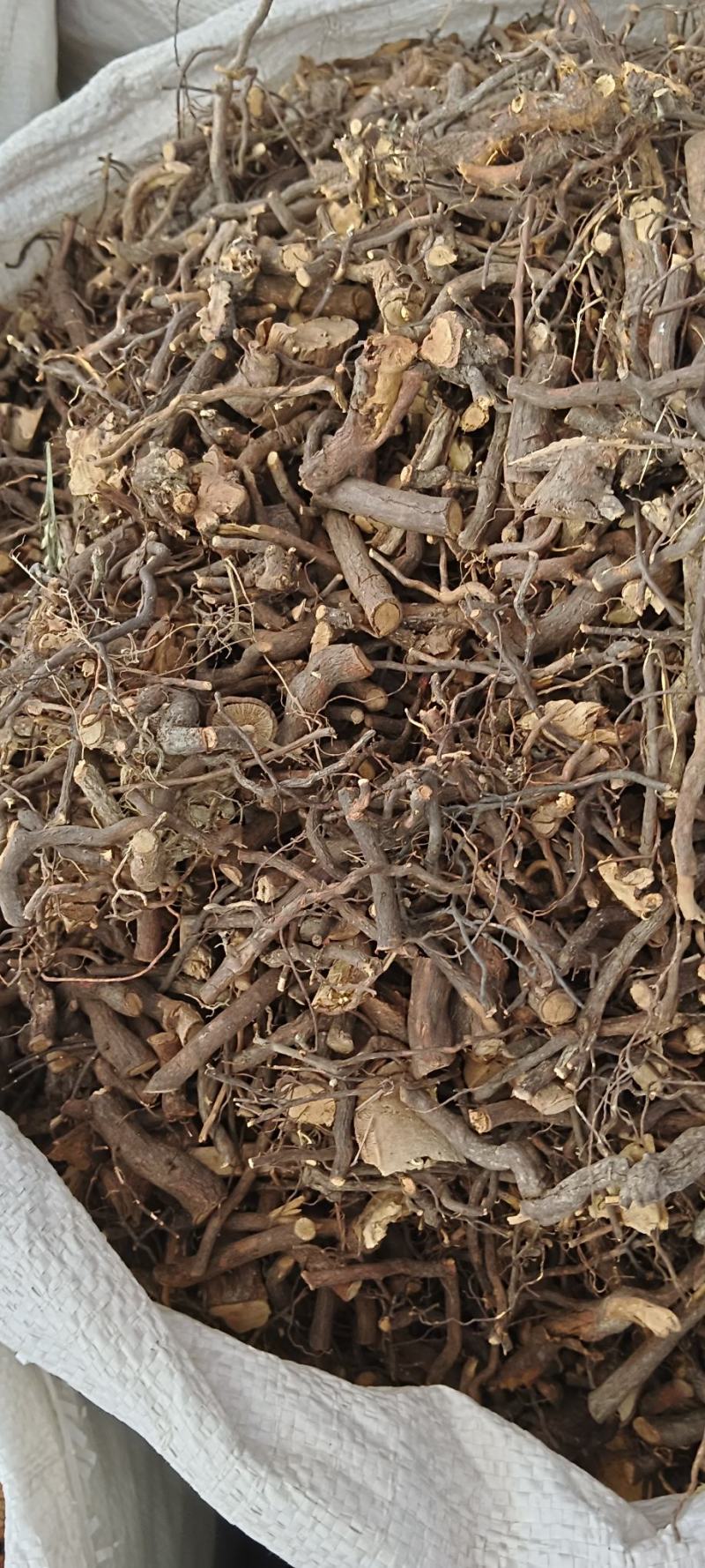 茅莓根，三月泡根，小叶