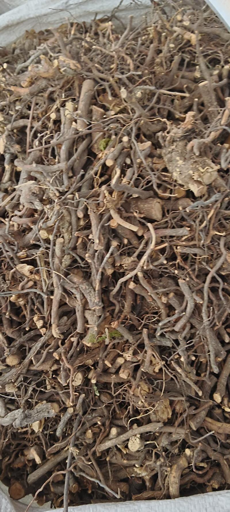 茅莓根，三月泡根，小叶