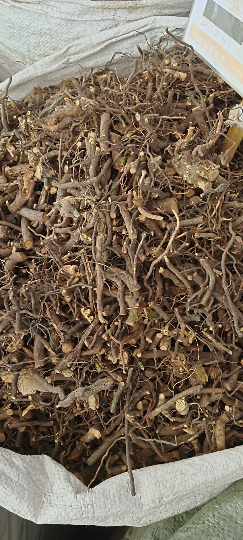 茅莓根，三月泡根，小叶