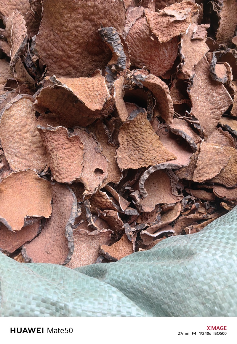 黄药子今年新货产地直销万信药业只做保真药材