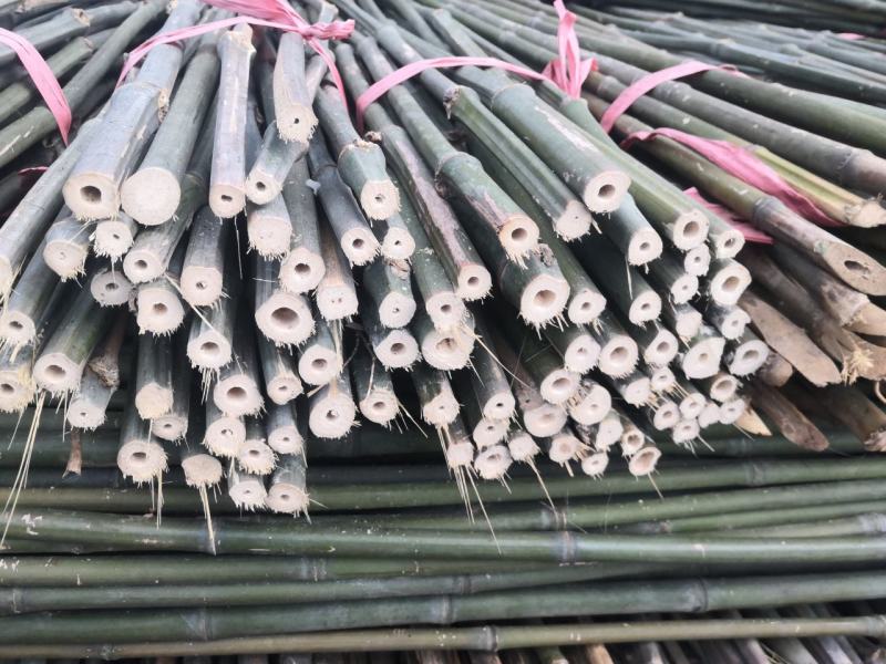 2.5米实心竹豆角架黄瓜西红市辣椒茄子等专用竹竿