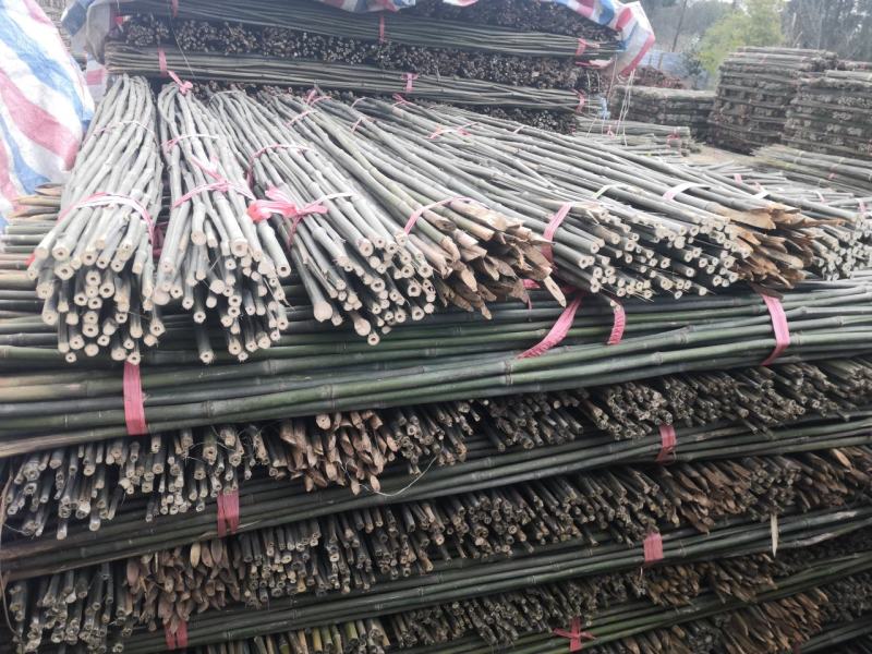 2.5米实心竹豆角架黄瓜西红市辣椒茄子等专用竹竿