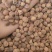 国产砂仁阳春砂仁精品药材万信药业只做保真药材
