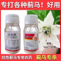 中新宝典70%噻虫嗪蓟马专用药蓟马杀虫剂大葱水稻稻飞虱韭
