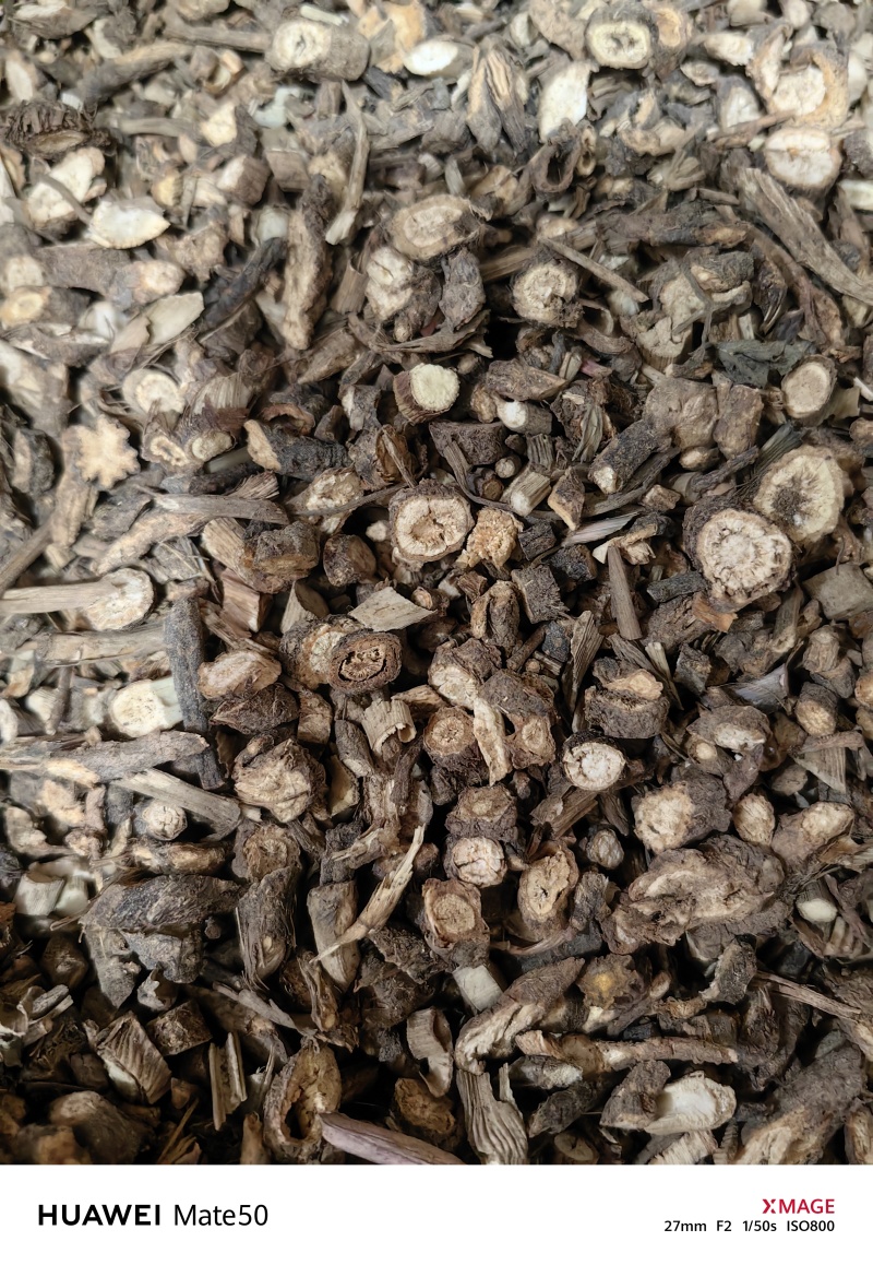 前胡精品毛前胡万信药业只做保真药材量大从优