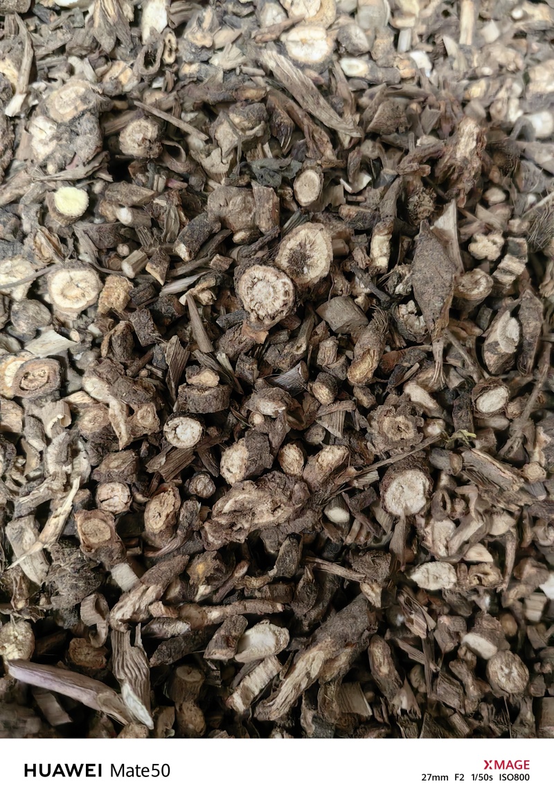 前胡精品毛前胡万信药业只做保真药材量大从优