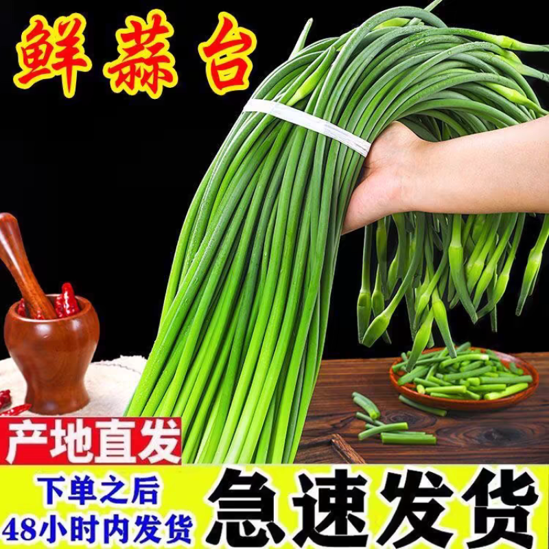 蒜苔红帽蒜苗白帽蒜苔支持视频看货发货保质保量。