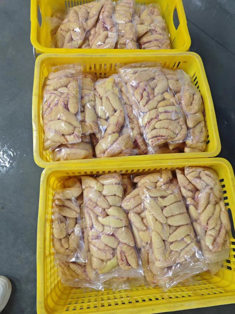 新鲜鲈鱼籽，源头工厂，常年加工