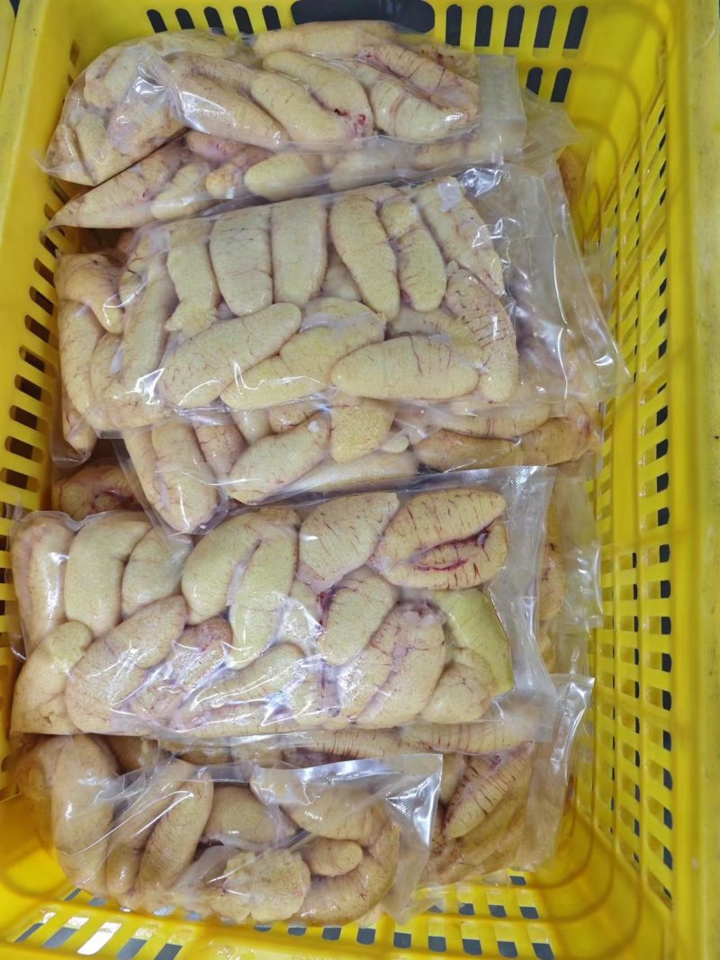 新鲜鲈鱼籽，源头工厂，常年加工