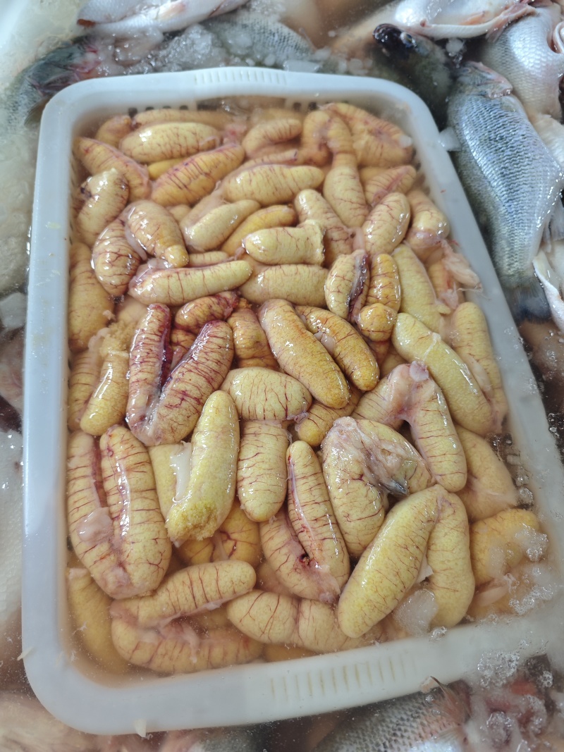 新鲜鲈鱼籽，源头工厂，常年加工