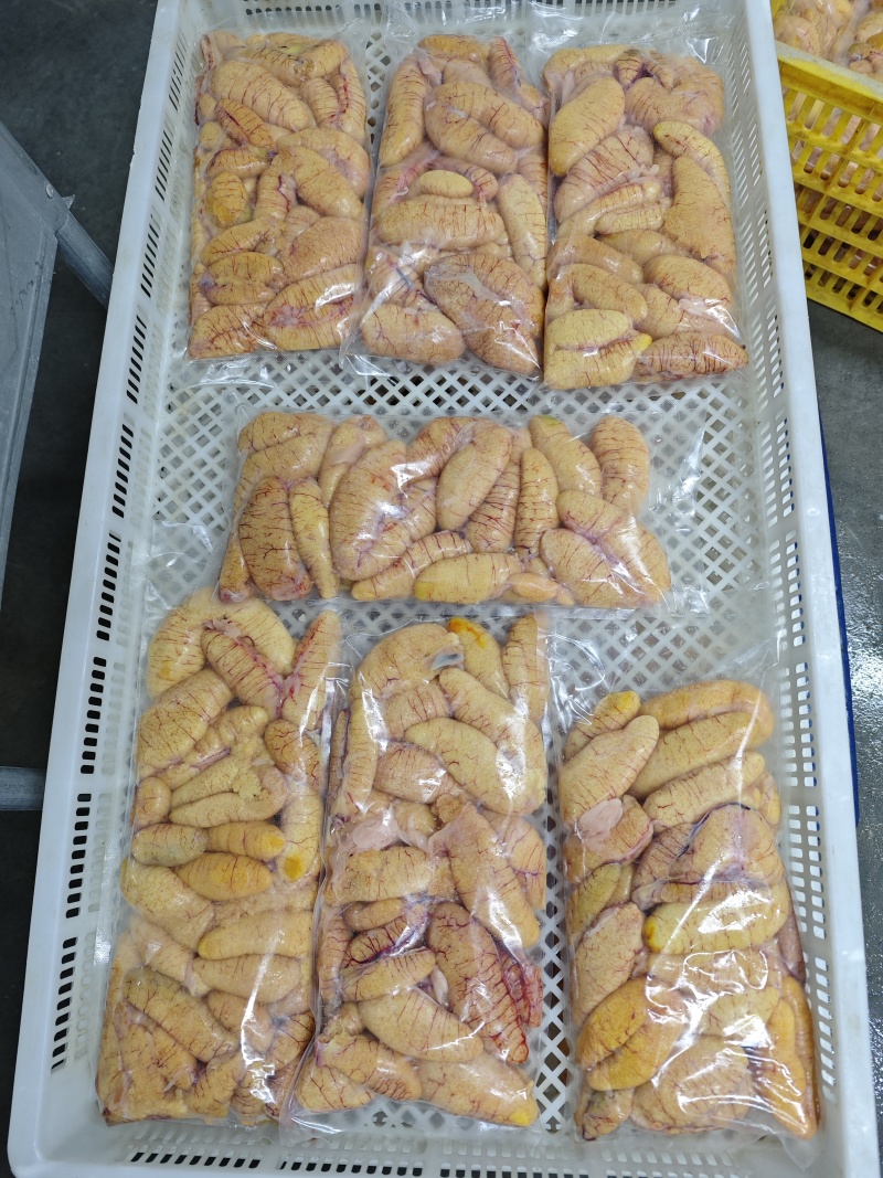 新鲜鲈鱼籽，源头工厂，常年加工