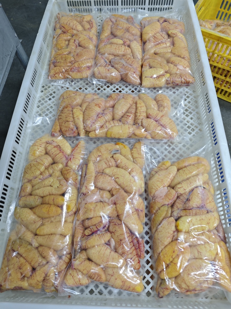 新鲜鲈鱼籽，源头工厂，常年加工