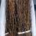 2024年新货脱水烘干架豆王干豆角，精品无丝豆豆角干