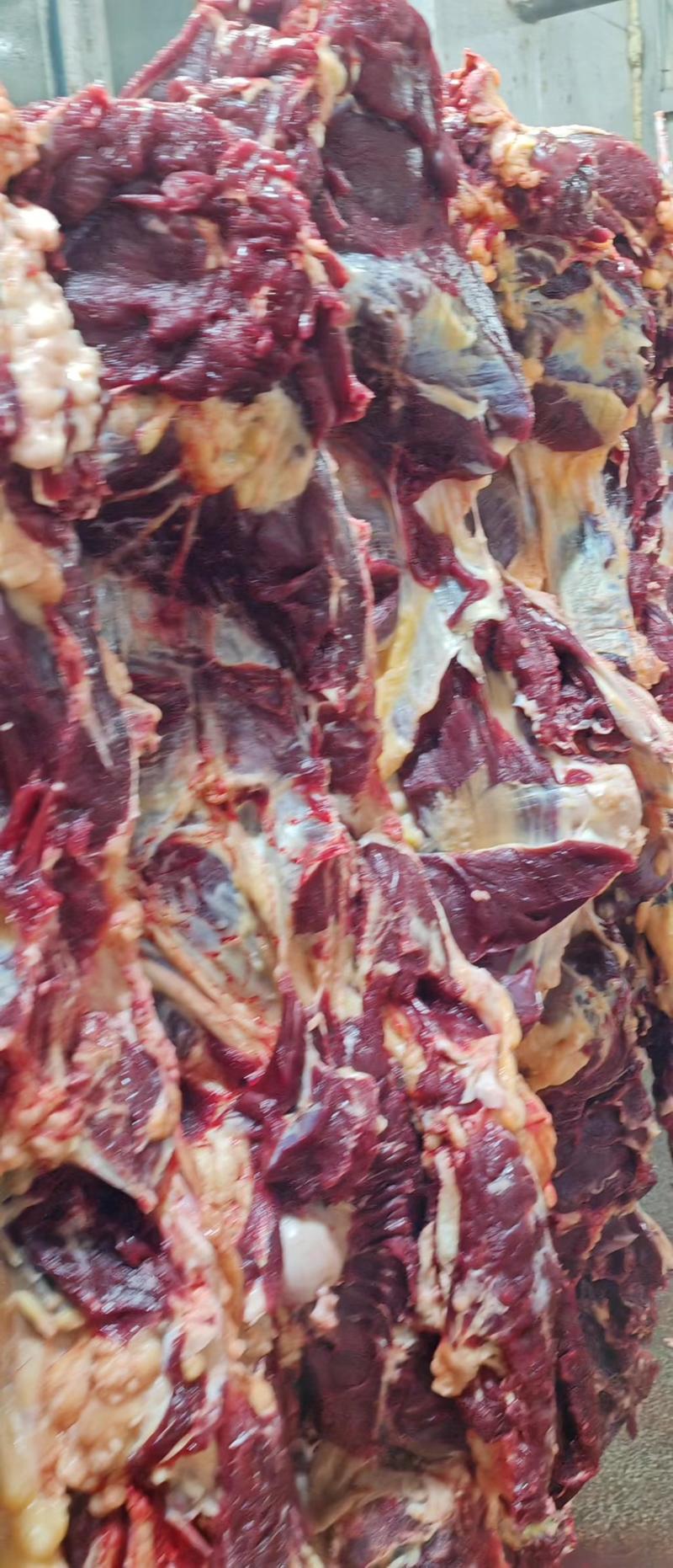 呼伦贝尔大草原优质牛肉，规格齐全欢迎大家前来选购